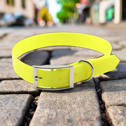 Collier chien-Le Fidèle™ : préféré de votre Toutou - Jappy Toutou