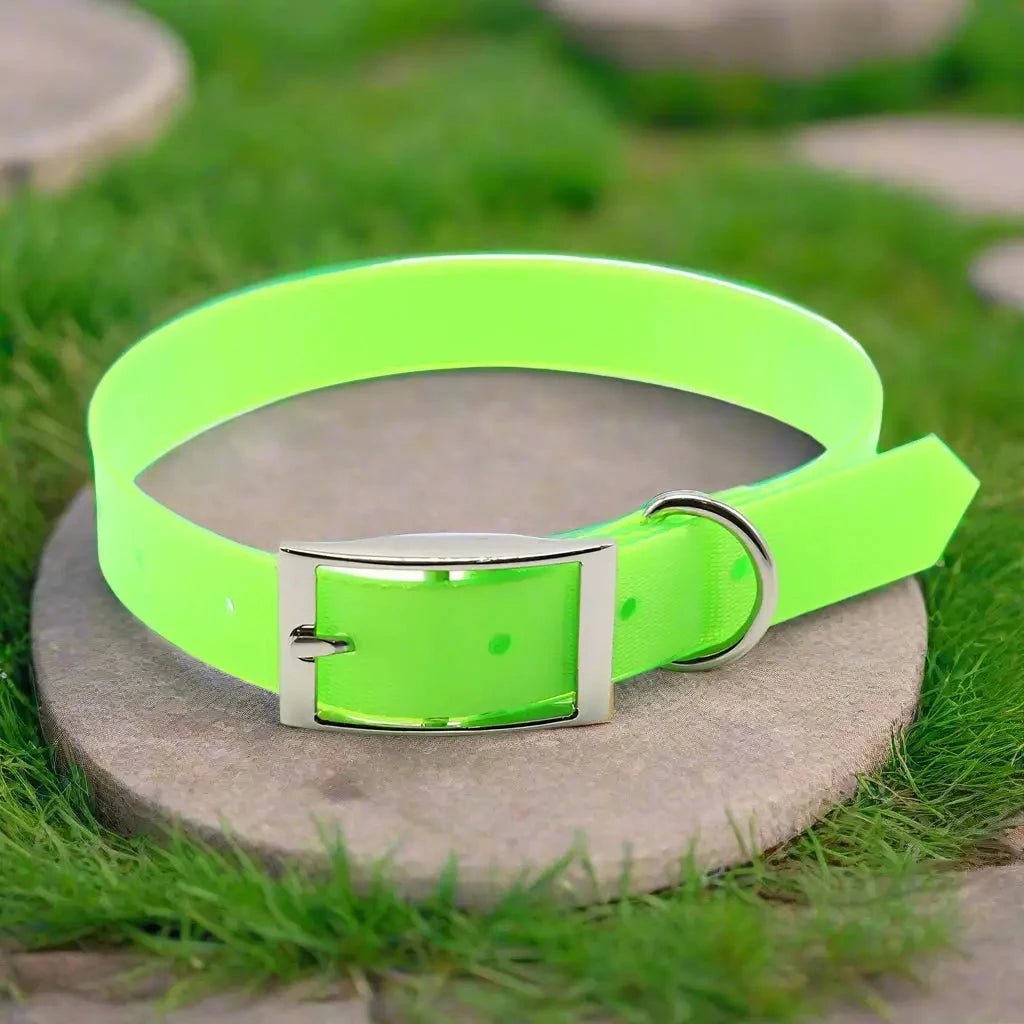 Collier chien - Le Fidèle2™ : Sécurité, style pour votre toutou - JappyToutou
