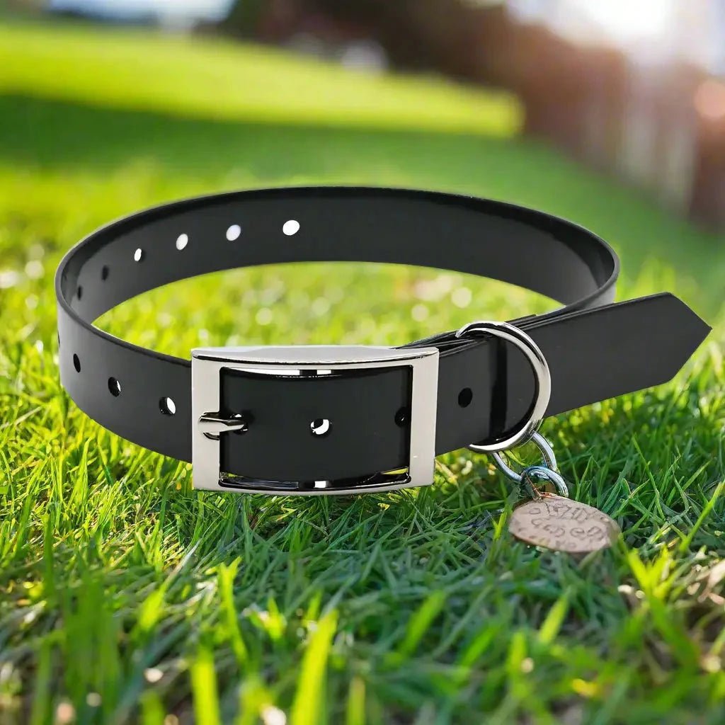 Collier chien - Le Fidèle2™ : Sécurité, style pour votre toutou - JappyToutou