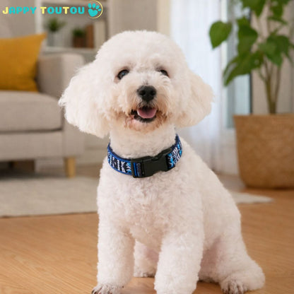 Collier Chien | Résistant • JappyClassic™ - Jappy Toutou