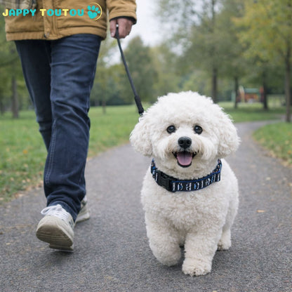 Collier Chien | Résistant • JappyClassic™ - Jappy Toutou