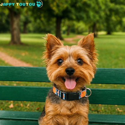 Collier Chien | Résistant • JappyClassic™ - Jappy Toutou