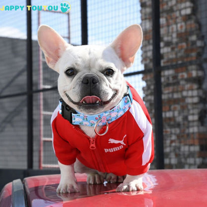 Collier Chien | Stylisé • JappyClassic - 3™ - Jappy Toutou
