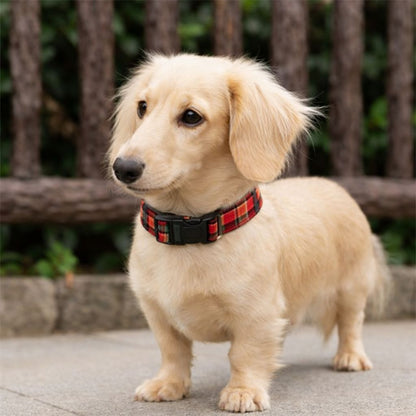Collier Chien | Stylisé • JappyClassic - 3™ - Jappy Toutou