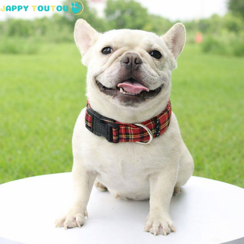 Collier Chien | Stylisé • JappyClassic - 3™ - Jappy Toutou