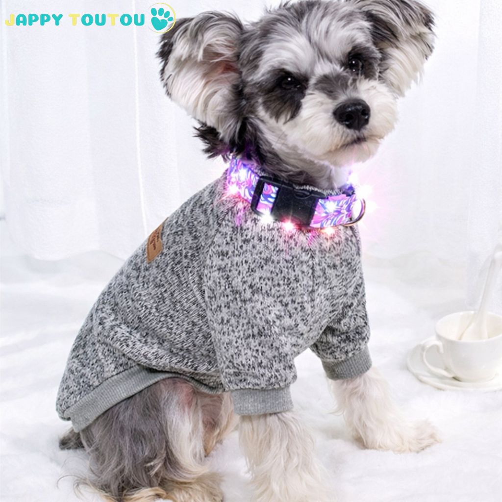 Collier Chien | Stylisé • JappyClassic - 3™ - Jappy Toutou