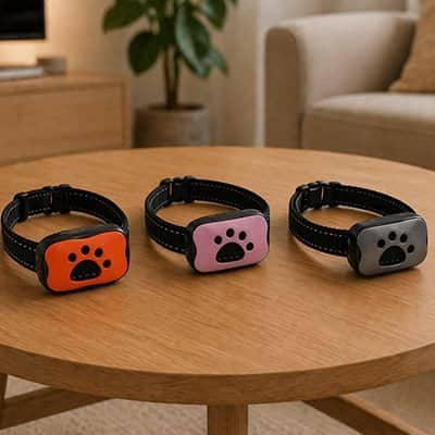 Collier de dressage Chien | Éducation Douce QuietPaw™ - Jappy Toutou