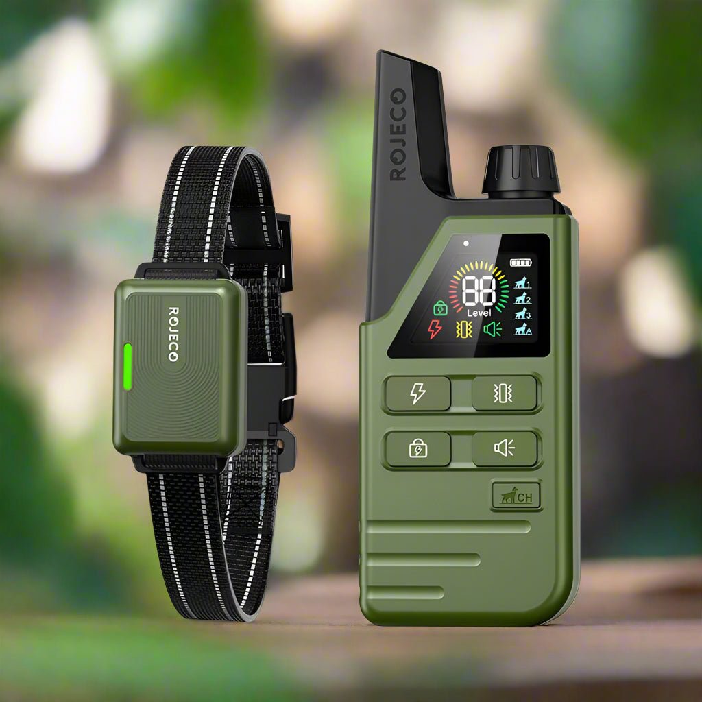 Collier de dressage pour chien Dress'Wouf™ - Jappy Toutou