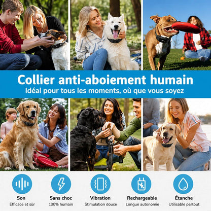 Collier de dressage pour Chien | Quiet2Paw™ L'Éducation Douce - Jappy Toutou