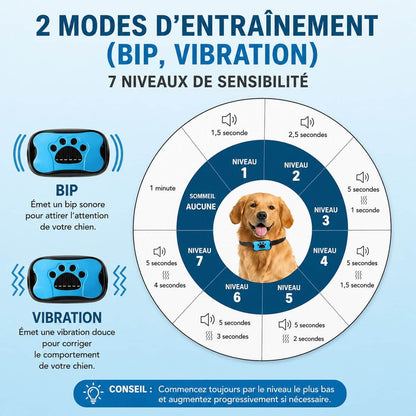 Collier de dressage pour Chien | Quiet2Paw™ L'Éducation Douce - Jappy Toutou