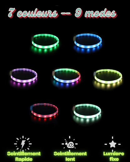 Collier lumineux pour chien-LumiDog™ - Jappy Toutou