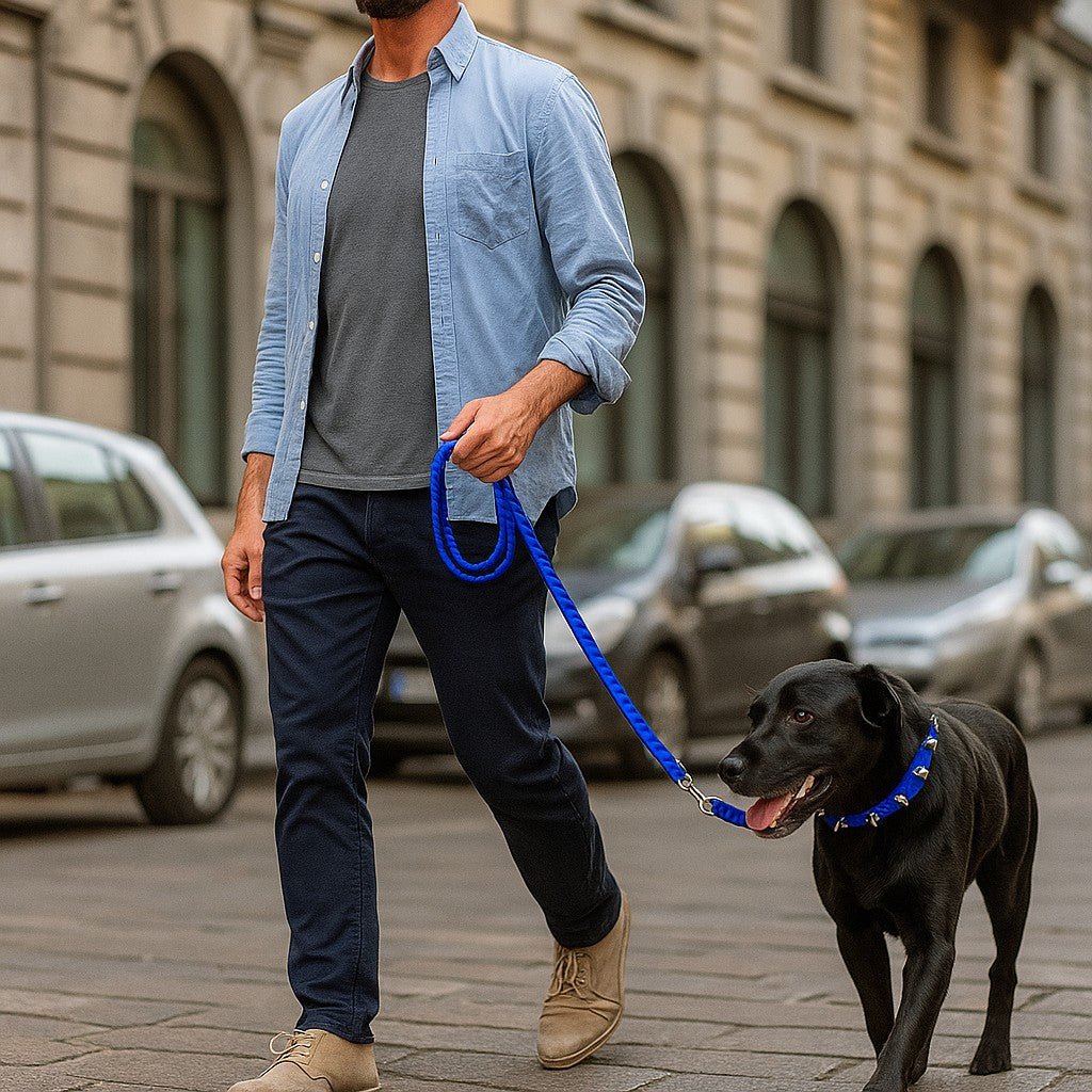 Collier pour chien - Bandit de Rue™ : Style punk pour toutou. - Jappy Toutou