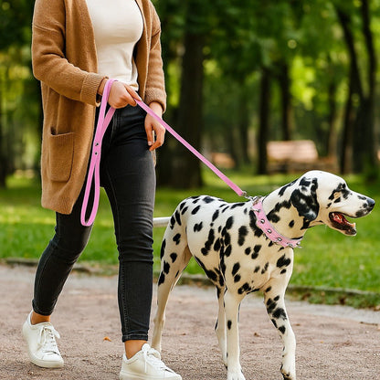 Collier pour chien - Bandit de Rue™ : Style punk pour toutou. - Jappy Toutou