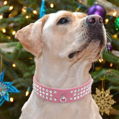 Collier pour chien - Médaille d'Amour™ : Élégance, Style pour petit grand toutou - Jappy Toutou