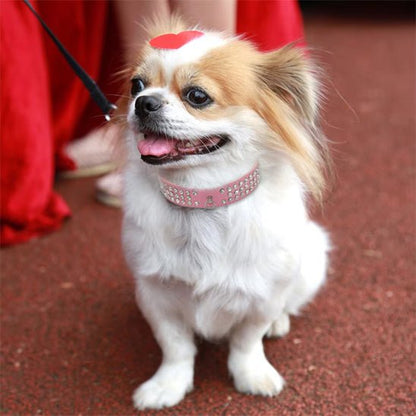 Collier pour chien - Médaille d'Amour™ : Élégance, Style pour petit grand toutou - Jappy Toutou