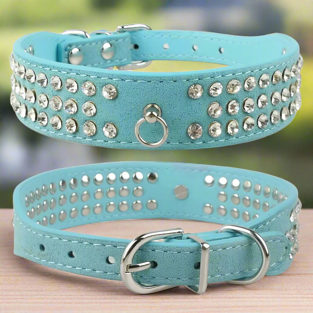 Collier pour chien - Médaille d'Amour™ : Élégance, Style pour petit grand toutou - Jappy Toutou