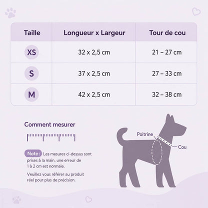 Collier pour Chien | Perle à Jappy™ Prémium - Jappy Toutou