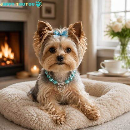 Collier pour chiot | Doux HéritageToutou™ - Jappy Toutou