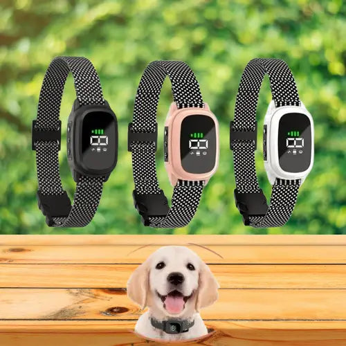 Collier anti aboiement - intelligent pour un dressage canin efficace - Jappy Toutou