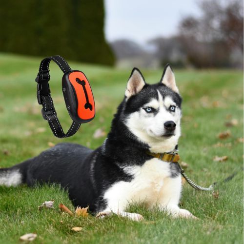 collier_anti_aboiement_chien-couleur_orange