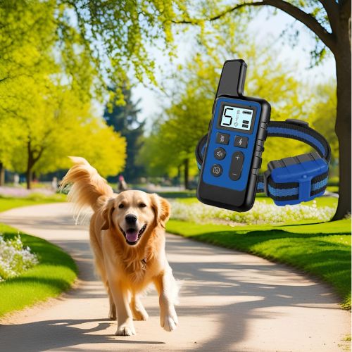 Collier anti aboiement chien : la solution efficace pour un dressage réussi
