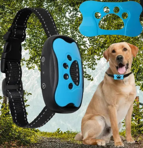Collier Anti Aboiement Chien : La Solution Efficace, douce - Jappy Toutou