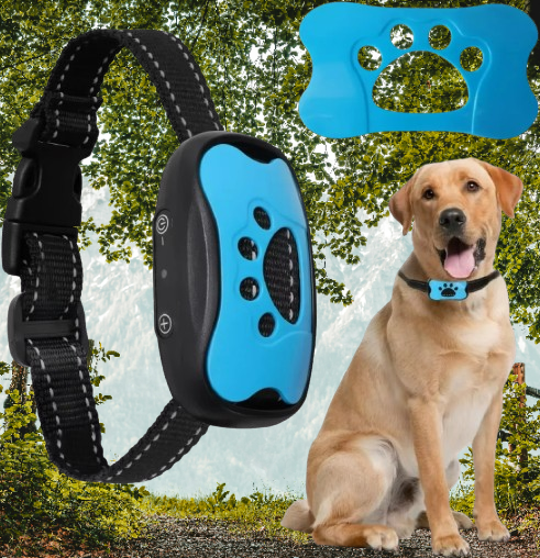 collier anti aboiement chien