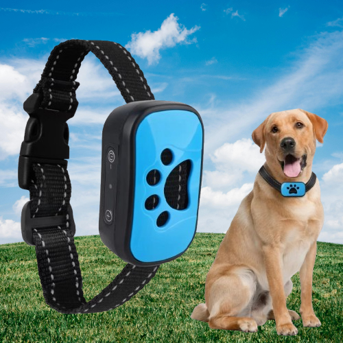 collier_anti_aboiement_chien_patte_bleu_forme