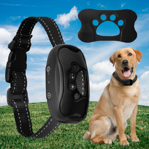 collier_anti_aboiement_chien_patte_noir