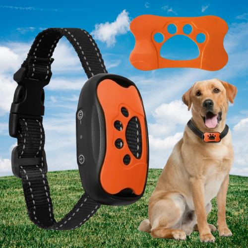 collier_anti_aboiement_chien_patte_orange