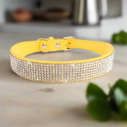 Collier pour chien_-bijou-chic-stylise-colore_ www.jappytoutou.com