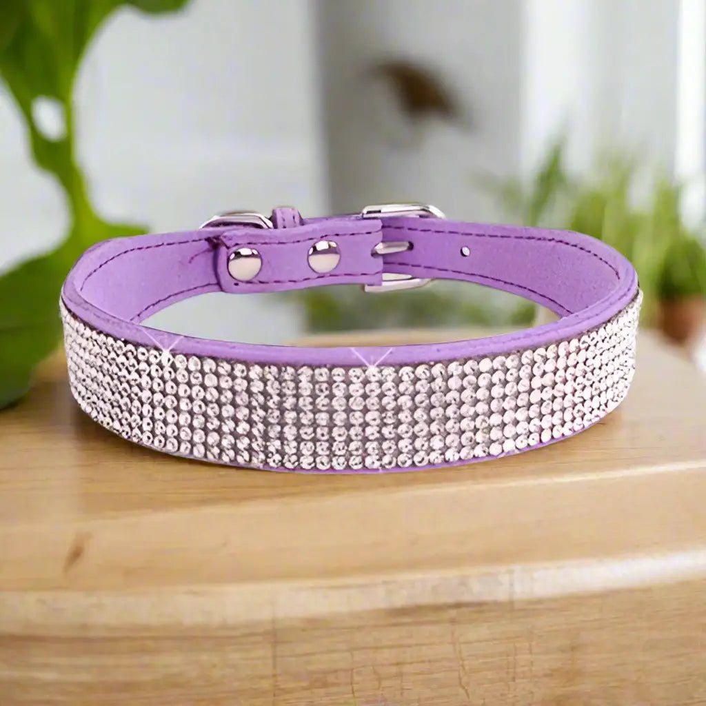 collier_chien_-bijou-chic-stylise-colore_ www.jappytoutou.com