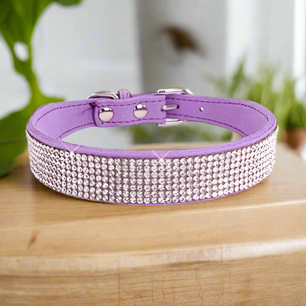 collier_chien_-bijou-chic-stylise-colore_ www.jappytoutou.com