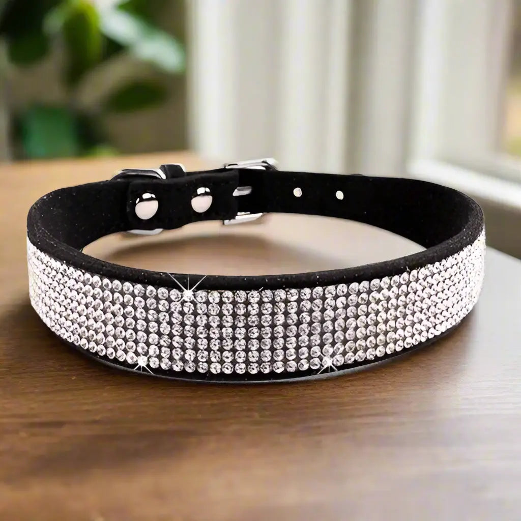 Collier pour chien_-bijou-chic-stylise-colore_ www.jappytoutou.com