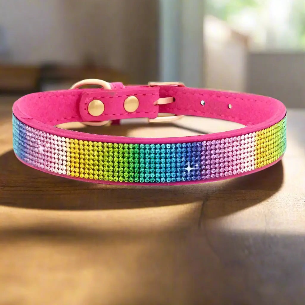 Collier pour chien _-bijou-chic-stylise-colore_ www.jappytoutou.com