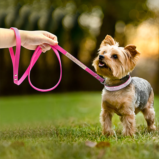 collier_chien_-bijou-chic-stylise-colore_ www.jappytoutou.com