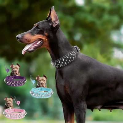 COLLIER_CHIEN_AVEC_PIQUE_NOIR-_PETIT_www.jappytoutou.com