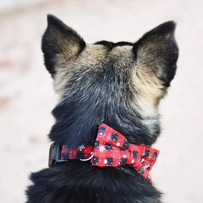 Collier chien : esprit festif, Élégance, style qui fait la différence, fait tourner la tête