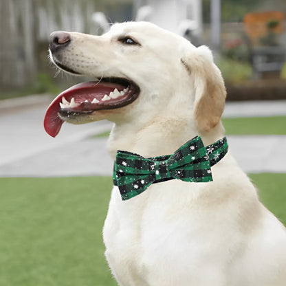 Collier chien : esprit festif, Élégance, style qui fait la différence, la touche