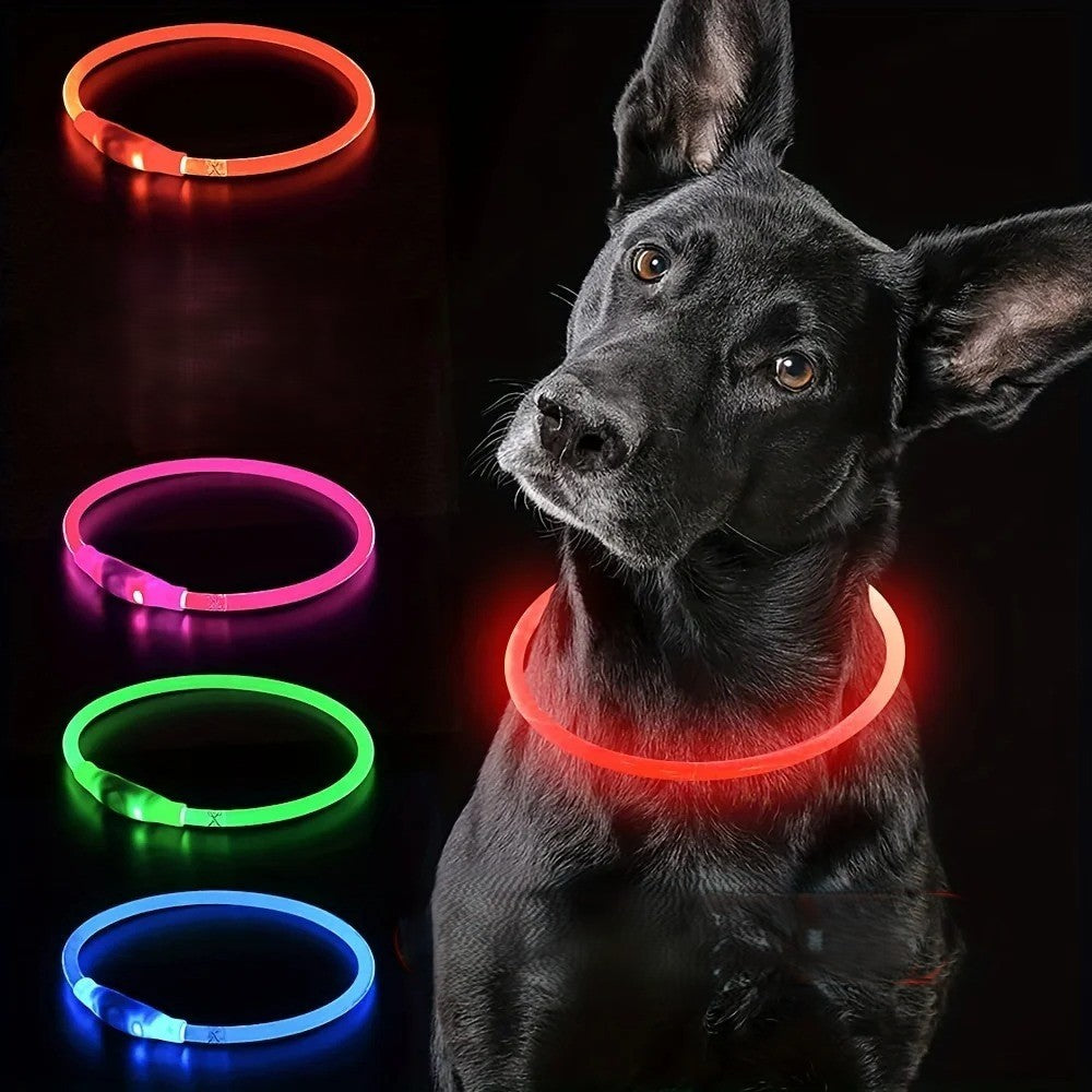 collier_lumineux_pour_chien_assorti_rose-vert www.jappytoutou.com