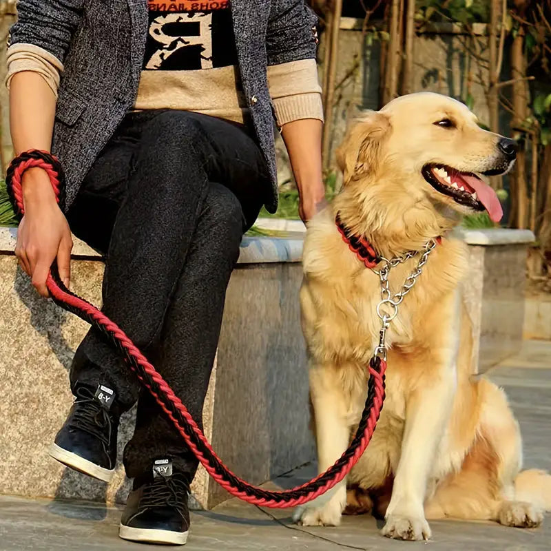 laisse pour chien noir et rouge fait de nylon tressé