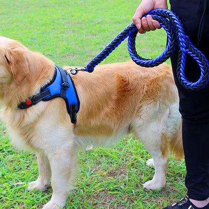 laisse pour chien noir et bleu fait de nylon tressé www.jappytoutou.com