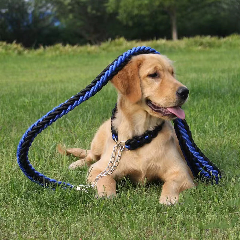 laisse pour chien noir et bleu fait de nylon tressé