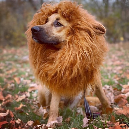 effet social garanti avec ce déguisement chien original