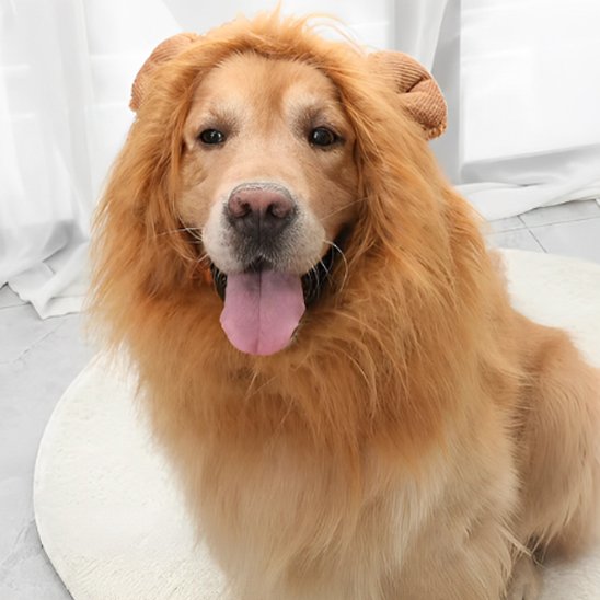 effet social garanti avec ce déguisement chien original