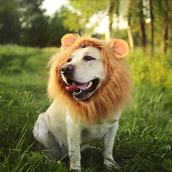 effet social garanti avec ce déguisement chien original