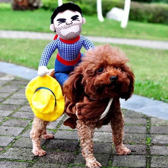 Déguisement chien | Confortable & Adorable - Jappy Toutou