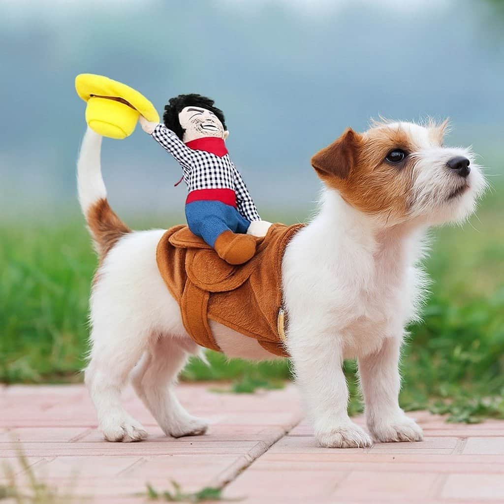 Déguisement chien | Confortable & Adorable - Jappy Toutou