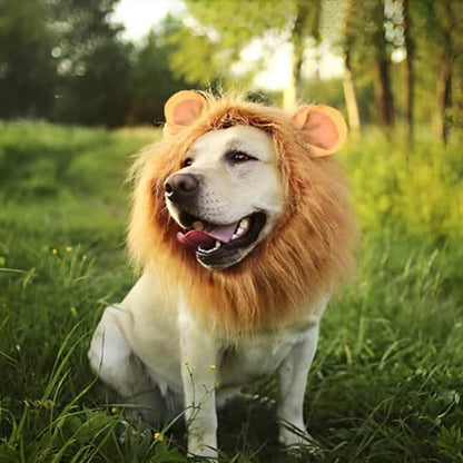 Déguisement chien | lion Royal Savane - Jappy Toutou