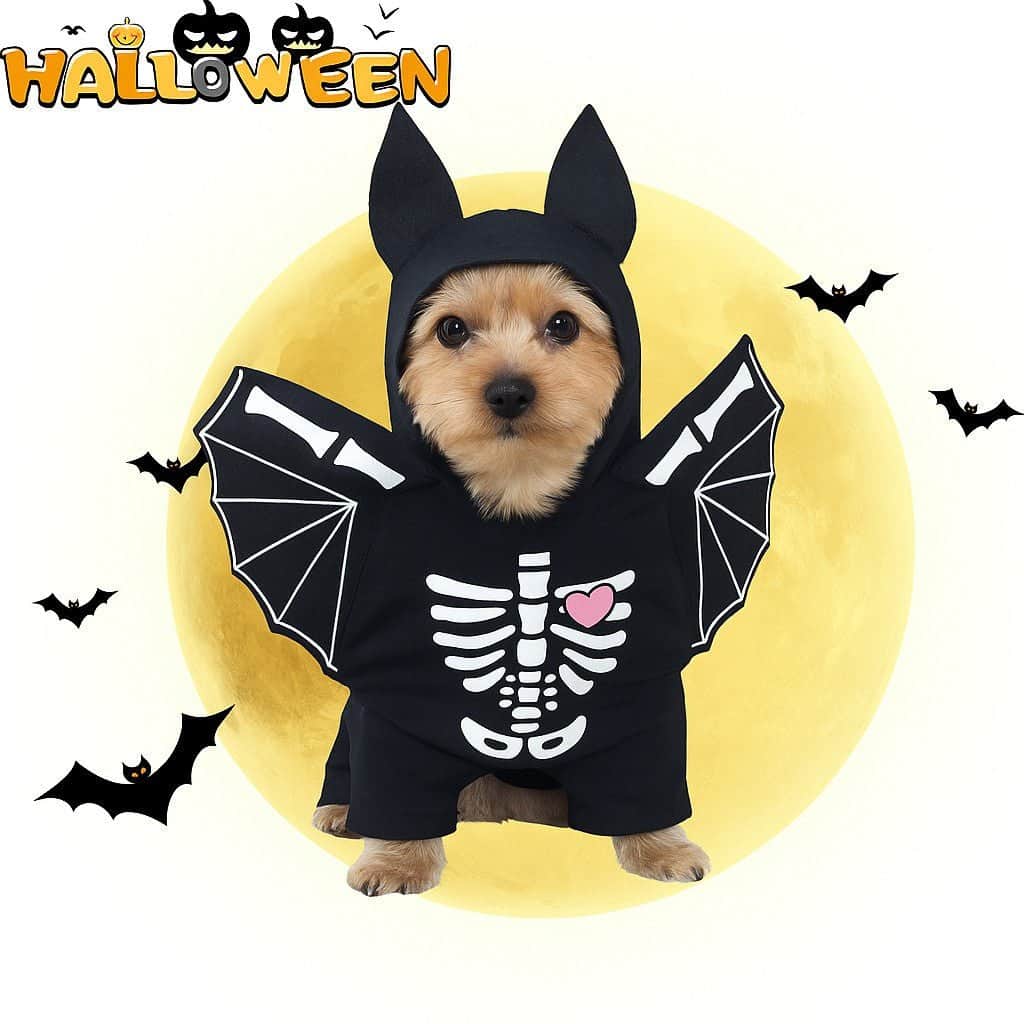 Déguisement d'Halloween /Vêtement chien / Pour l'Halloween inoubliable - Jappy Toutou